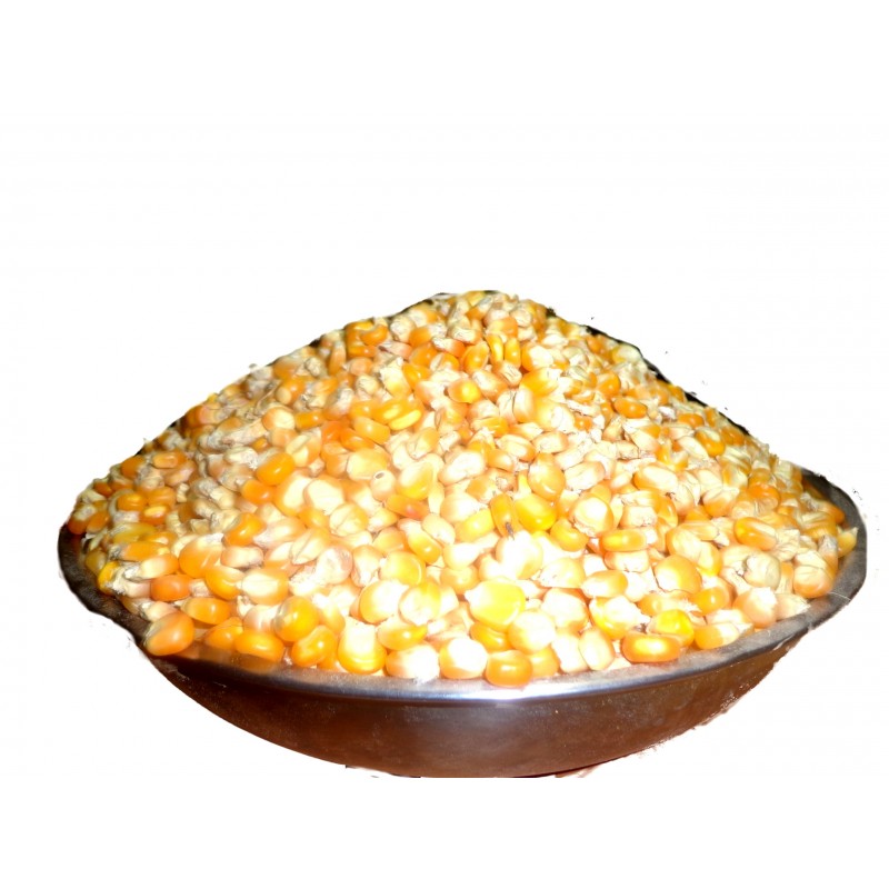 Our Products Yellow Corn